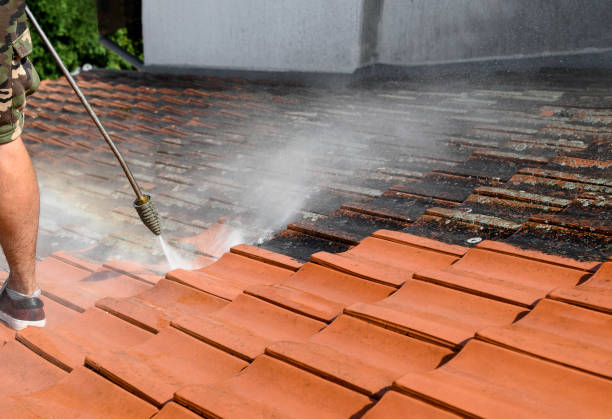 Best Roof Power Washing Services  in Renville, MN