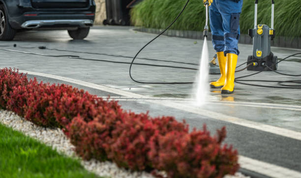 Best Sidewalk Pressure Washing  in Renville, MN