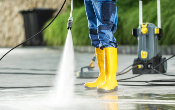 Best House Pressure Washing  in Renville, MN