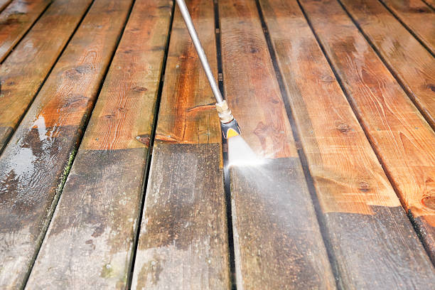 Best Roof Pressure Washing  in Renville, MN