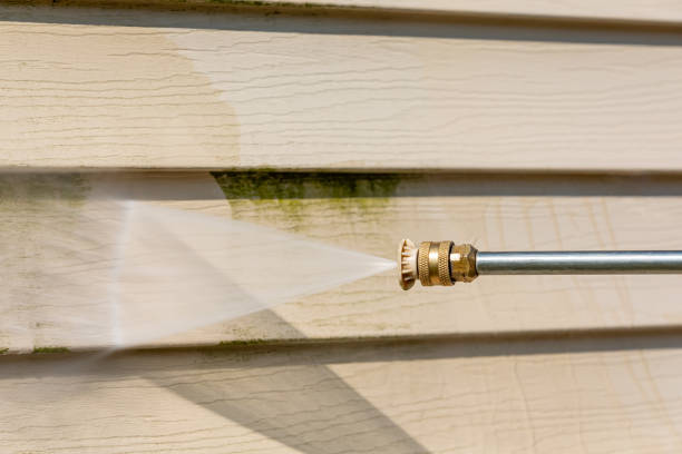 Best Concrete Pressure Washing  in Renville, MN