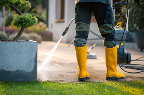 Best Commercial Pressure Washing  in Renville, MN